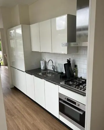 Luxe Vakantievilla In Voorthuizen