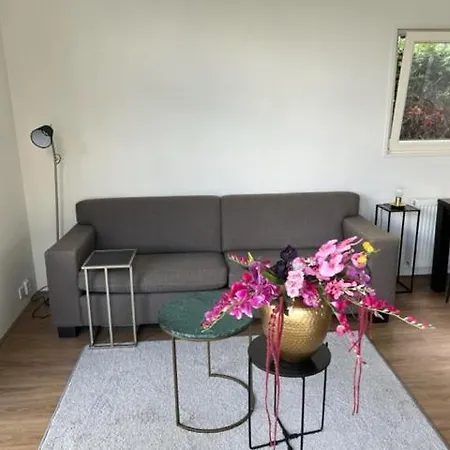 Luxe Vakantievilla In Ferienhaus Voorthuizen